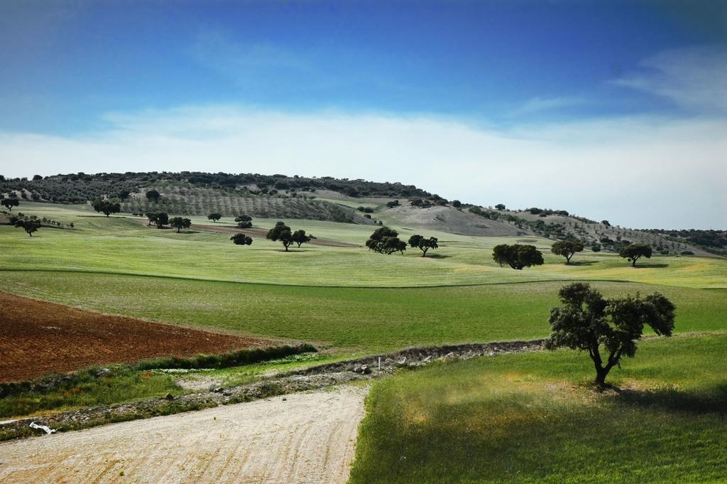 Apartamentos Turisticos Cortijo Garces Alhama de Granada Zewnętrze zdjęcie